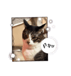 そうすぅ（個別スタンプ：6）