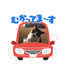 そうすぅ（個別スタンプ：7）