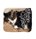 そうすぅ（個別スタンプ：8）