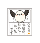 しまちゃん スタンプ022025（個別スタンプ：20）