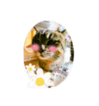 うちのnekoシリーズ2（個別スタンプ：3）
