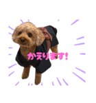 COCO まるちゃんのスタンプ！！（個別スタンプ：4）