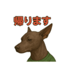 ヘアレスドッグのルークくん（リアル版）（個別スタンプ：7）