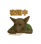 ヘアレスドッグのルークくん（リアル版）（個別スタンプ：16）