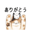 星ねこさんとシマエナガさん（個別スタンプ：1）