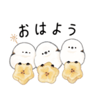 星ねこさんとシマエナガさん（個別スタンプ：12）