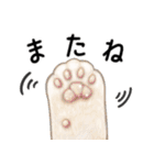 星ねこさんとシマエナガさん（個別スタンプ：19）