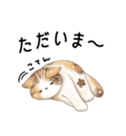 星ねこさんとシマエナガさん（個別スタンプ：25）