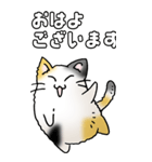 みけけ 01（個別スタンプ：1）