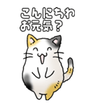みけけ 01（個別スタンプ：2）