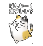 みけけ 01（個別スタンプ：3）