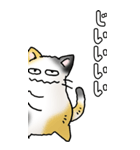 みけけ 01（個別スタンプ：4）