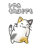 みけけ 01（個別スタンプ：5）