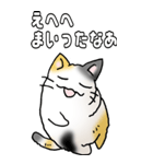 みけけ 01（個別スタンプ：6）