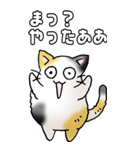 みけけ 01（個別スタンプ：7）