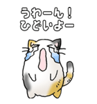 みけけ 01（個別スタンプ：10）