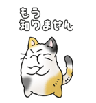 みけけ 01（個別スタンプ：12）