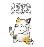 みけけ 01（個別スタンプ：13）