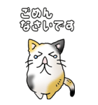みけけ 01（個別スタンプ：14）