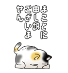 みけけ 01（個別スタンプ：15）