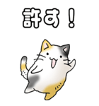 みけけ 01（個別スタンプ：16）