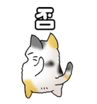 みけけ 01（個別スタンプ：20）