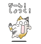 みけけ 01（個別スタンプ：21）