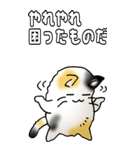 みけけ 01（個別スタンプ：24）