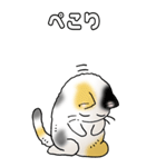 みけけ 01（個別スタンプ：26）