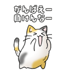みけけ 01（個別スタンプ：27）
