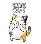 みけけ 01（個別スタンプ：28）