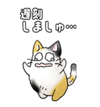みけけ 01（個別スタンプ：29）