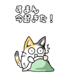 みけけ 01（個別スタンプ：30）