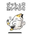 みけけ 01（個別スタンプ：31）
