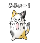 みけけ 01（個別スタンプ：34）