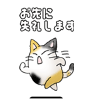 みけけ 01（個別スタンプ：37）