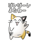 みけけ 01（個別スタンプ：38）