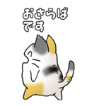 みけけ 01（個別スタンプ：39）