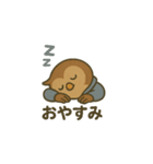 夜型フクロウのよるみくん（個別スタンプ：20）