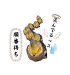 面白☆ギャグなオカメインコ 加工（個別スタンプ：2）