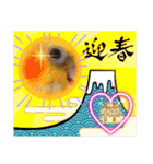 面白☆ギャグなオカメインコ 加工（個別スタンプ：13）