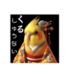 面白☆ギャグなオカメインコ 加工（個別スタンプ：14）