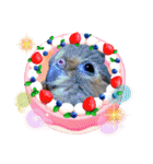 面白☆ギャグなオカメインコ 加工（個別スタンプ：24）