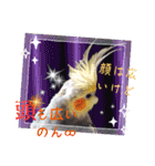 面白☆ギャグなオカメインコ 加工（個別スタンプ：32）