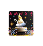 面白☆ギャグなオカメインコ 加工（個別スタンプ：39）