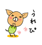 日常で使えるチワワさん（個別スタンプ：3）