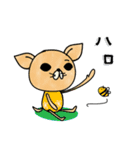 日常で使えるチワワさん（個別スタンプ：7）