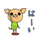 日常で使えるチワワさん（個別スタンプ：11）
