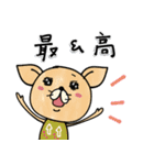 日常で使えるチワワさん（個別スタンプ：20）