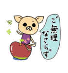日常で使えるチワワさん（個別スタンプ：30）